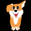 SINOBIDOG (Junior)