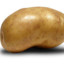 potato