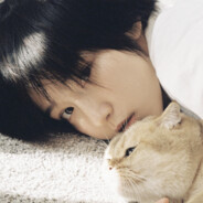 人生何处不青山