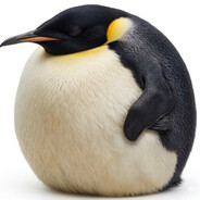 𝕯eep