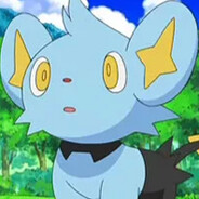 Shinx ⛟