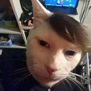 DonIvan