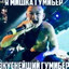 мятлик луговой