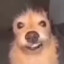 Romblether