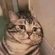 让我看看谁是面团捏的