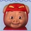 大B哥
