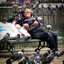 Pigeon Seller