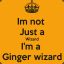 AndrewTheGingerWizard