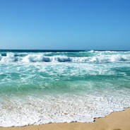 癞蛤蟆跳悬崖装蝙蝠侠