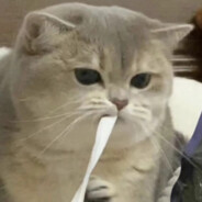 鲁智深倒拔柳如烟