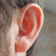 Vincent Van Gogh's Left Ear