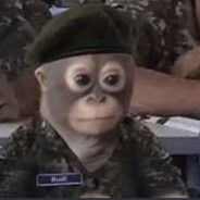Sargent Chimp