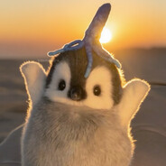 机器人前辈（萌新O.o)