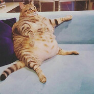 「K†T」Вадик