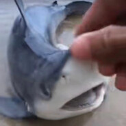 开大变成30秒红色盲并中无量空处的路边一条