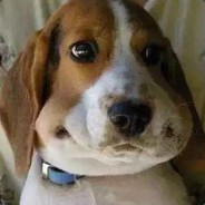 请对萌新温柔点