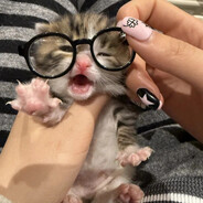 янк фемос (0