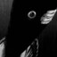 punpun state\\