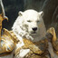 AngryBatBear