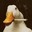 (っ◔◡◔)っ ♥ Coon_Coon