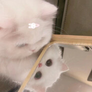 十八岁巨坤女大学生