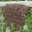 a bee hive