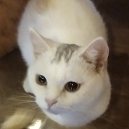 他们都叫我良哥