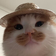 Bnakys - steam id 76561198044844308