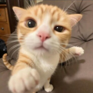 我也不太了解她