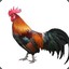 Roosted_G