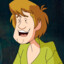 Shaggy