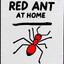 Red Ant at Home