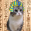 Египетский кот