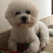 忙里偷闲打酱油