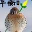 我真悲慘