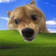 没事没事别急别骂