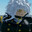 k§ Gilded §k's Avatar