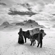 您双亲的黄泉引路人~