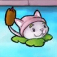 后花园狙击手猫尾草