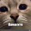 aintres
