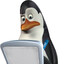 󠁳⁧⁧ kowalski