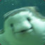 WWWWWWWWWWWWWWWWWWWWWWWWWWWWWWWW