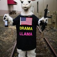 Mada - steam id 76561197960487709