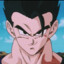 Son Gohan