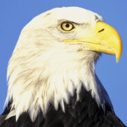 Desert Eagler