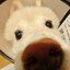 Mark马克