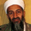Bin laden
