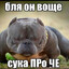 ограбил бабку