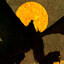 TheDesertPilgrim