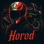 Horod